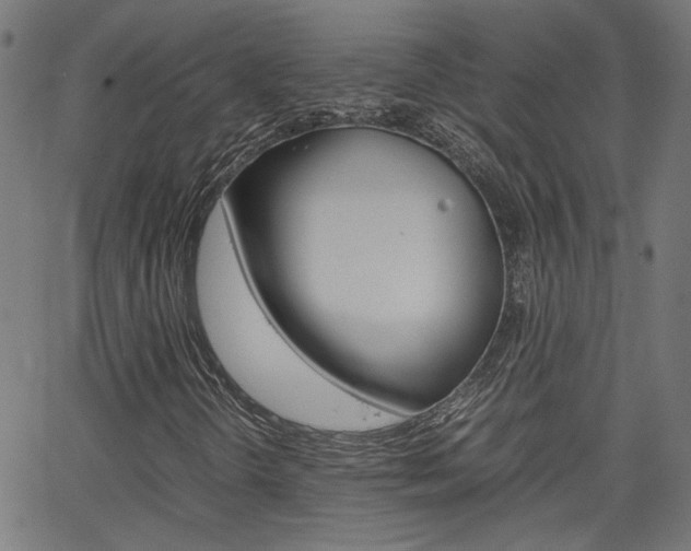 X0000066101298200603100928