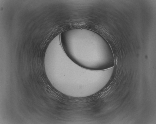 X0000066101299200603100928