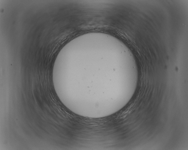 X0000066101300200603100928