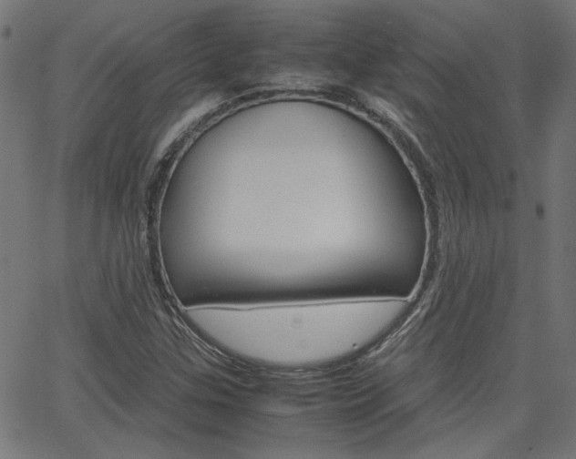 X0000066101307200603100928