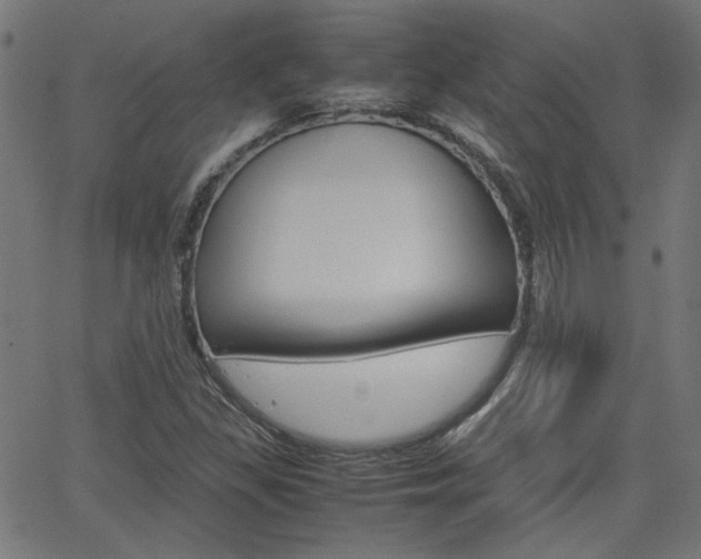 X0000066101309200603100928