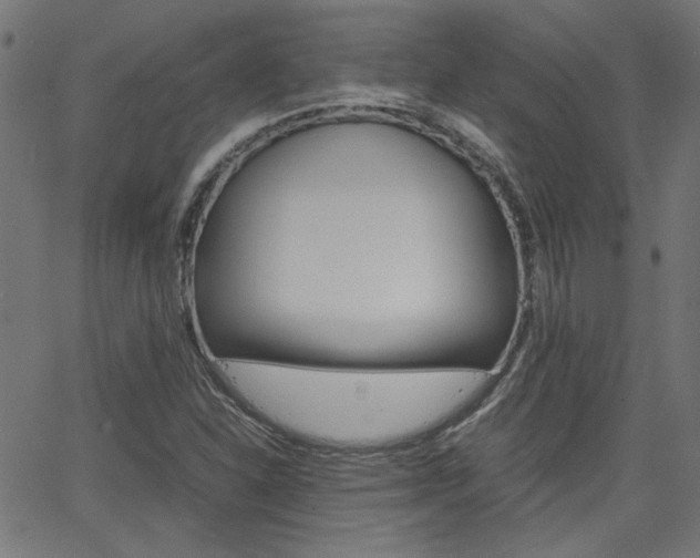 X0000066101310200603100928