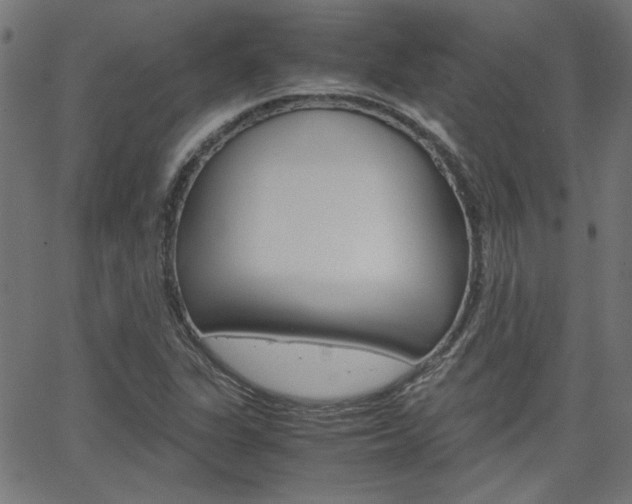 X0000066101311200603100928