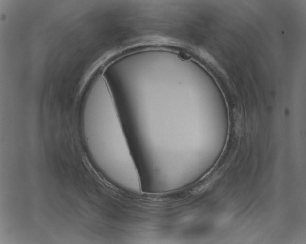 X0000066101318200603100928