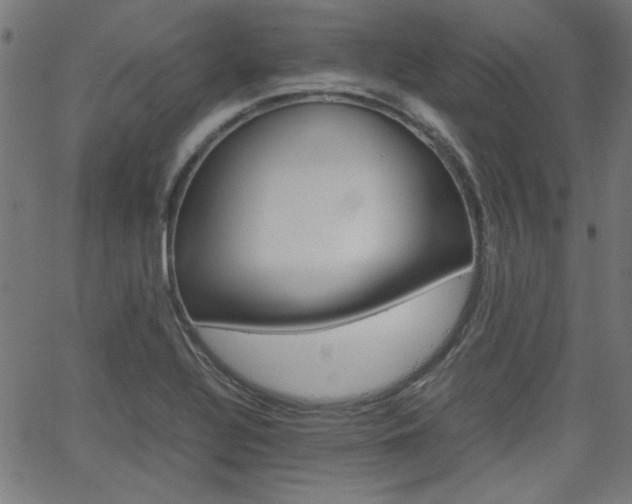 X0000066101320200603100929