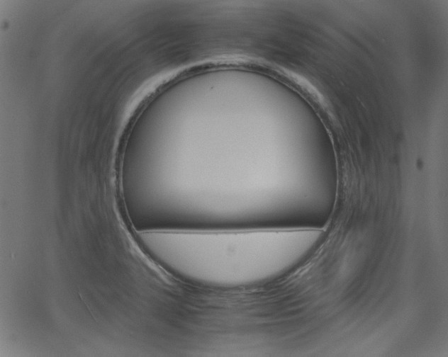 X0000066101327200603100929