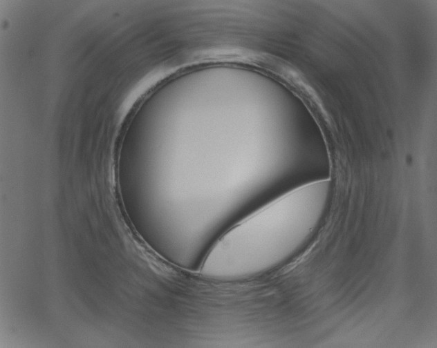 X0000066101328200603100929