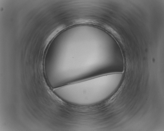 X0000066101330200603100929