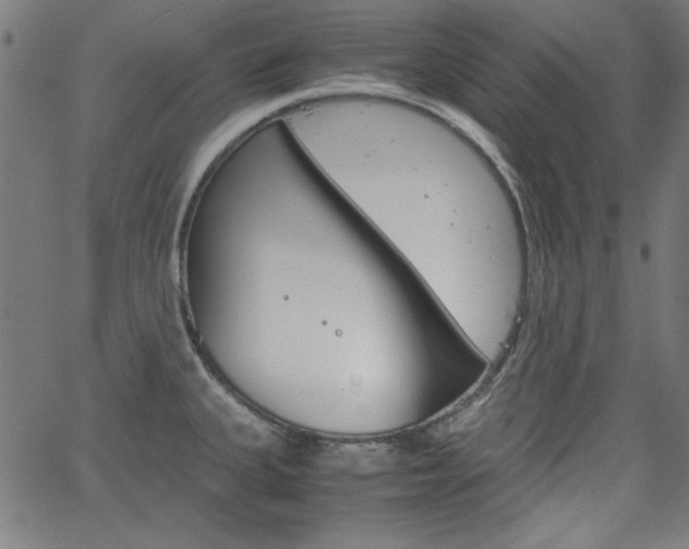 X0000066101335200603100929