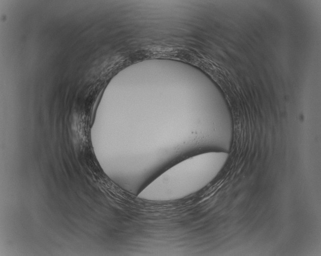 X0000066101346200603100928