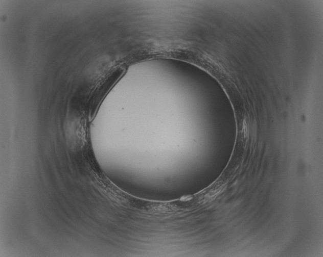 X0000066101348200603100928