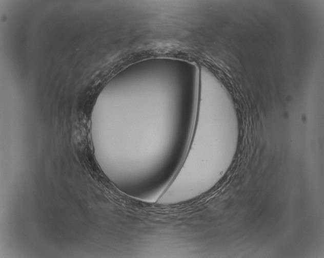 X0000066101349200603100928