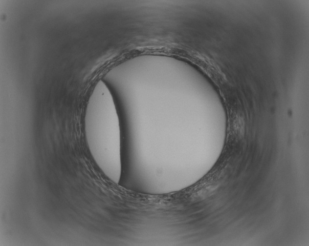 X0000066101350200603100928