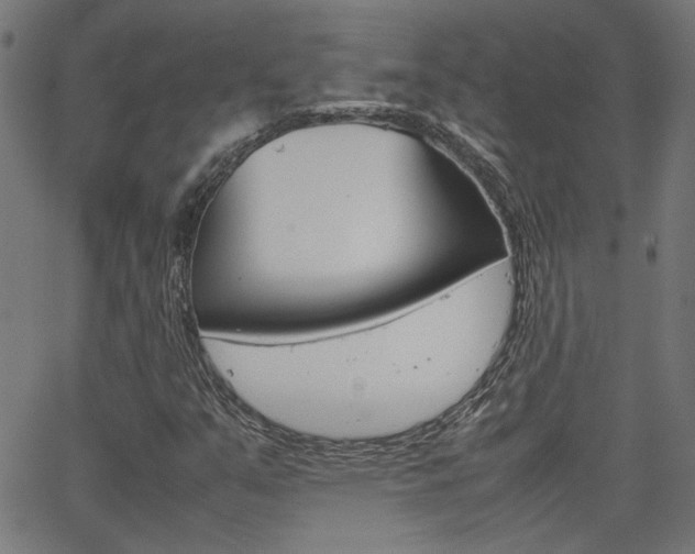 X0000066101351200603100928