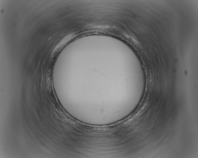 X0000066101354200603100928