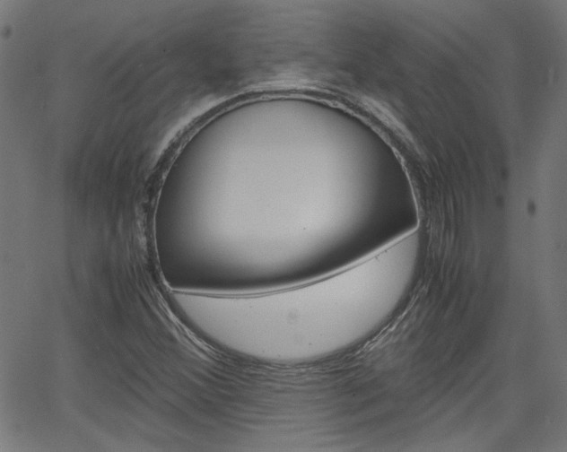 X0000066101356200603100928