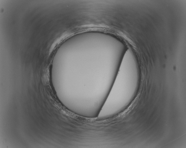 X0000066101357200603100928