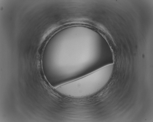 X0000066101360200603100928