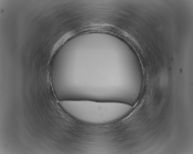 X0000066101362200603100928
