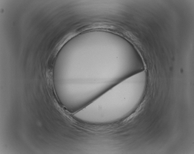 X0000066101369200603100928