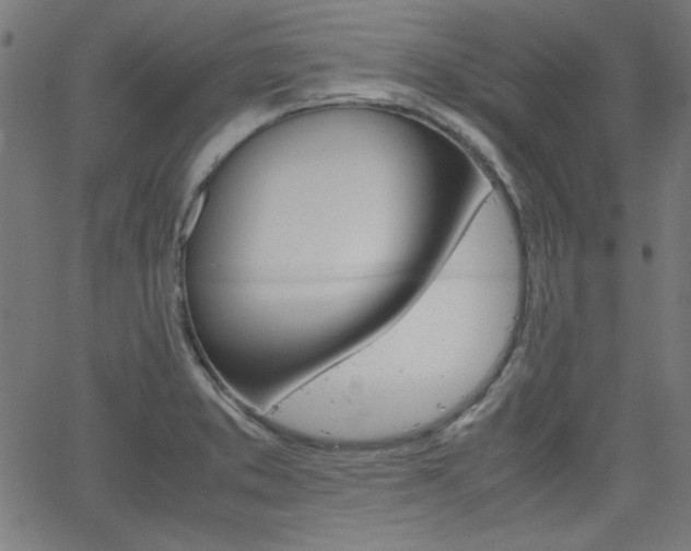 X0000066101373200603100928