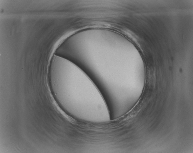 X0000066101379200603100928