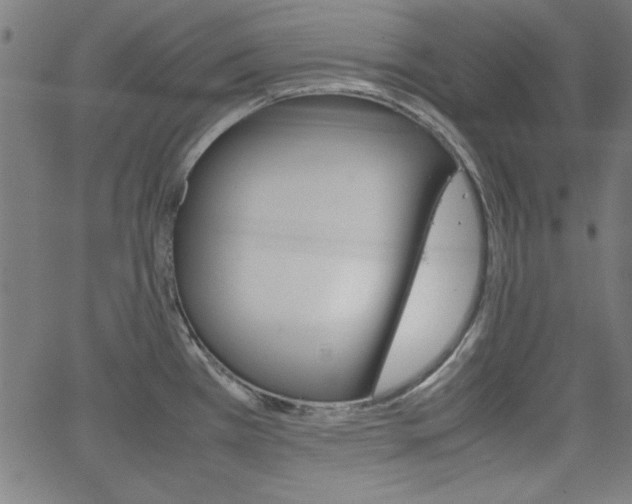 X0000066101385200603100927