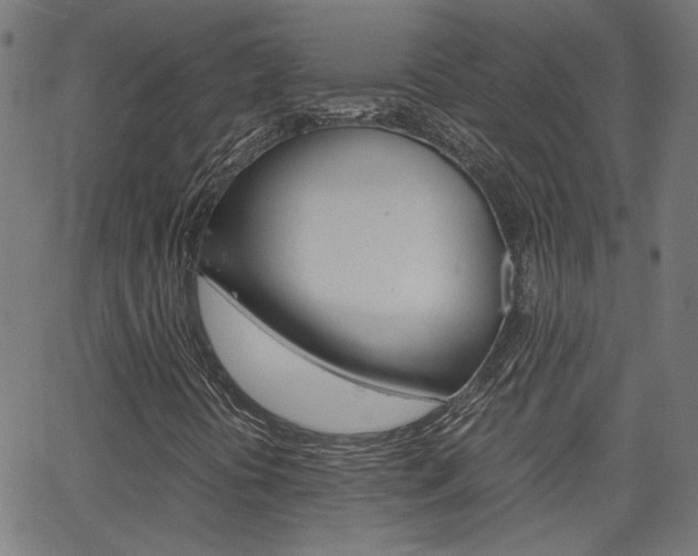 X0000066101394200603100927
