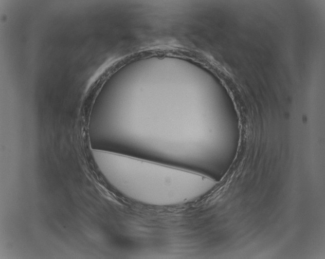 X0000066101400200603100927