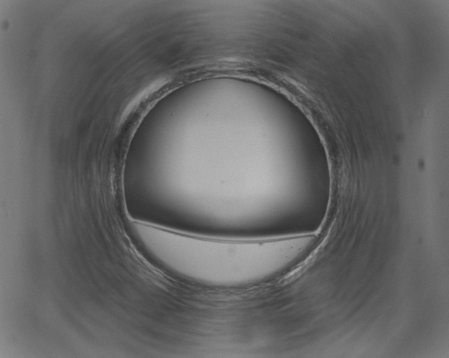 X0000066101402200603100927