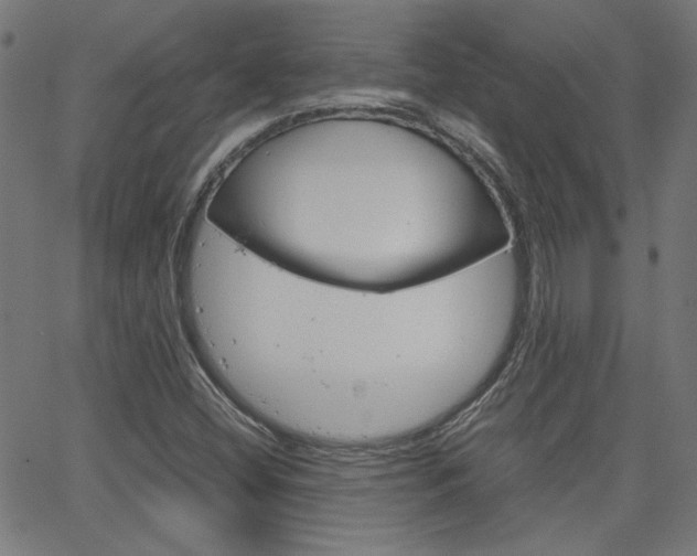 X0000066101404200603100927