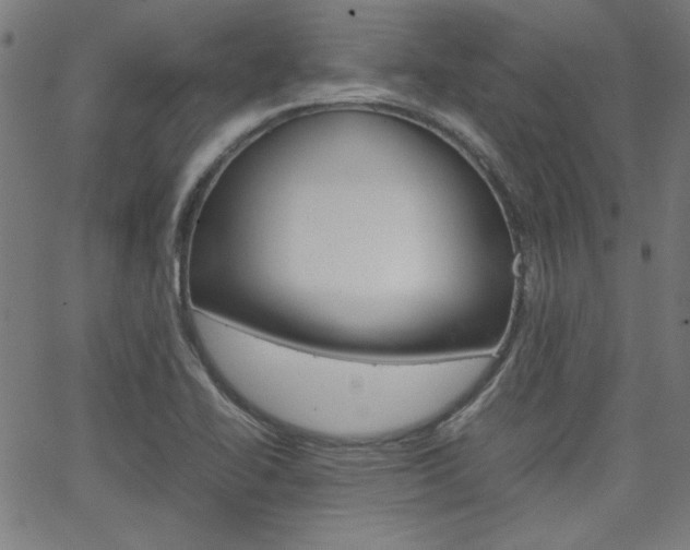 X0000066101414200603100927