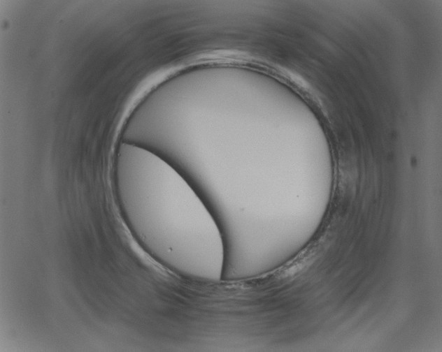 X0000066101421200603100927