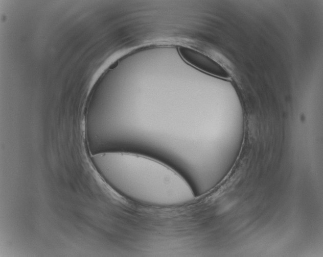 X0000066101428200603100927