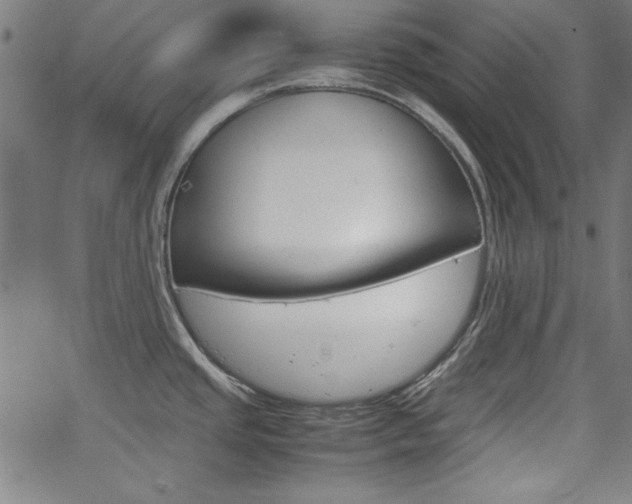 X0000066101437200603100927