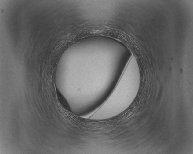 X0000066101441200603100927