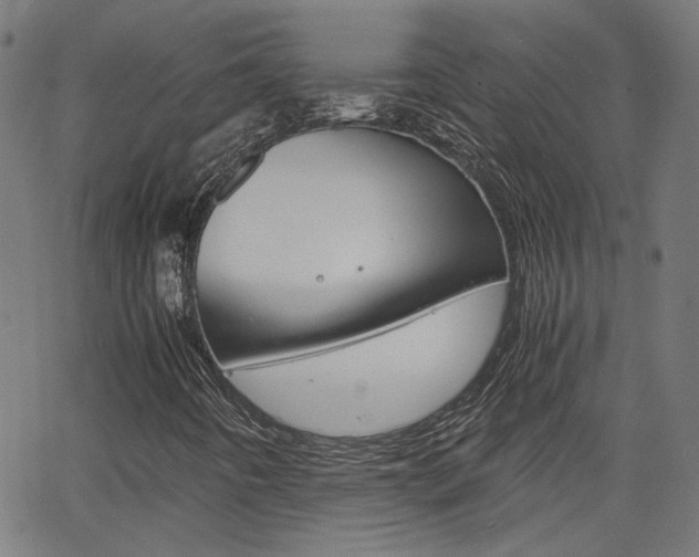 X0000066101442200603100927