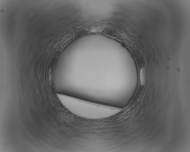 X0000066101443200603100927