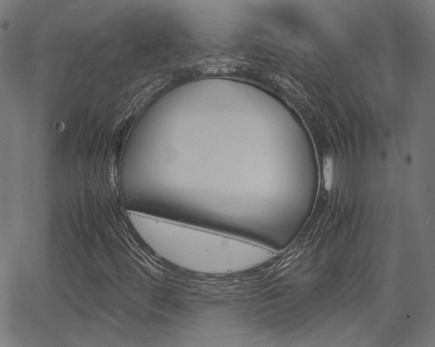 X0000066101444200603100927