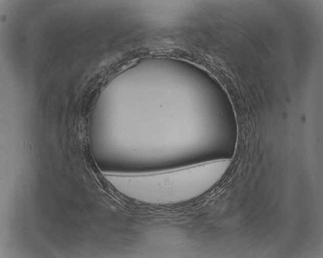 X0000066101445200603100927