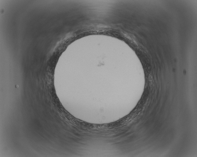 X0000066101447200603100926