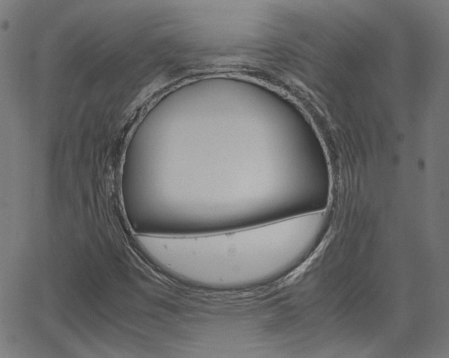 X0000066101449200603100926