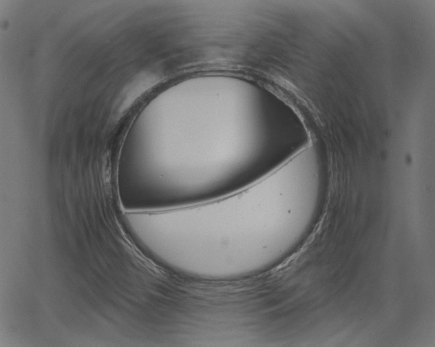 X0000066101450200603100926