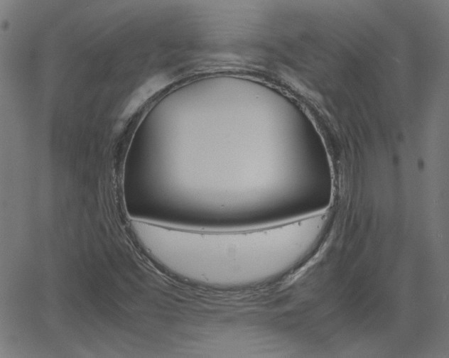 X0000066101453200603100926