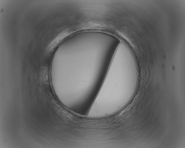 X0000066101455200603100926