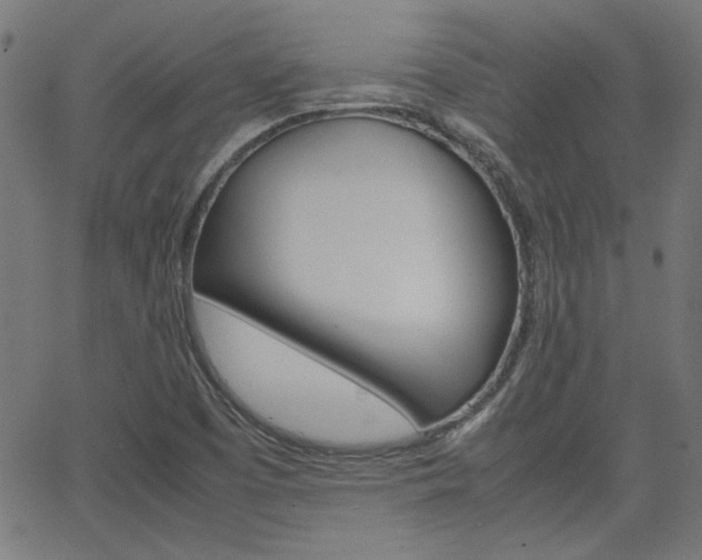 X0000066101457200603100926