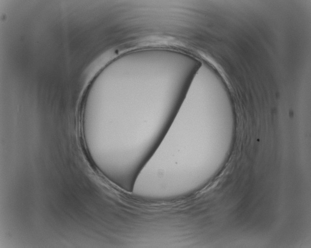 X0000066101467200603100926