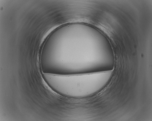 X0000066101468200603100926