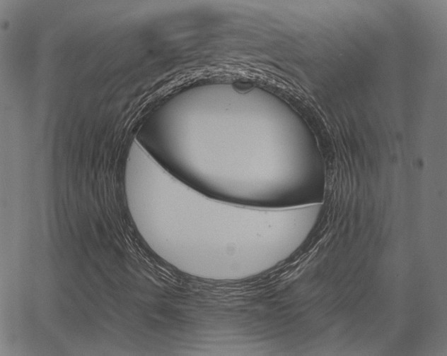 X0000066101490200603100925