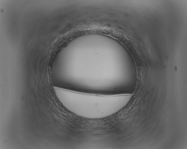 X0000066101493200603100925